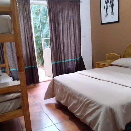 Rosebank Lodge&Backpacker Johannesburg Bagian luar foto